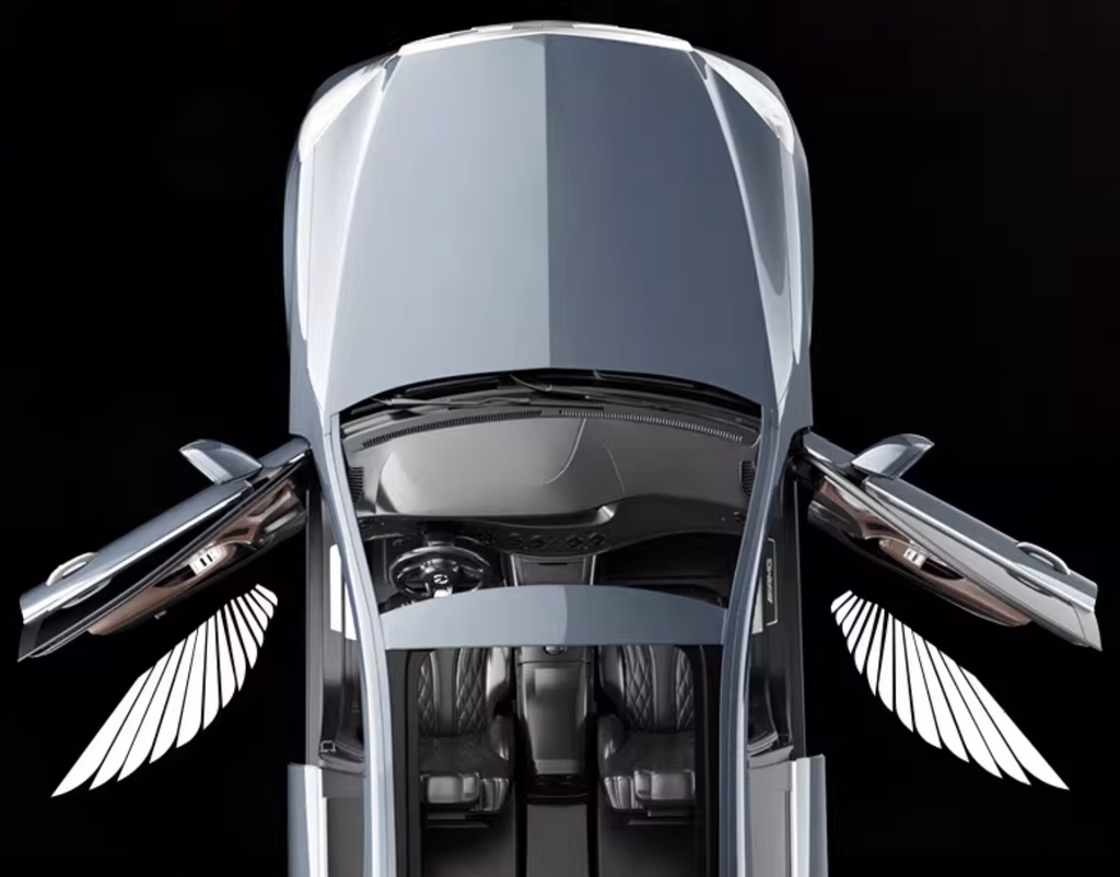 Angel Wings Car Welcome Light