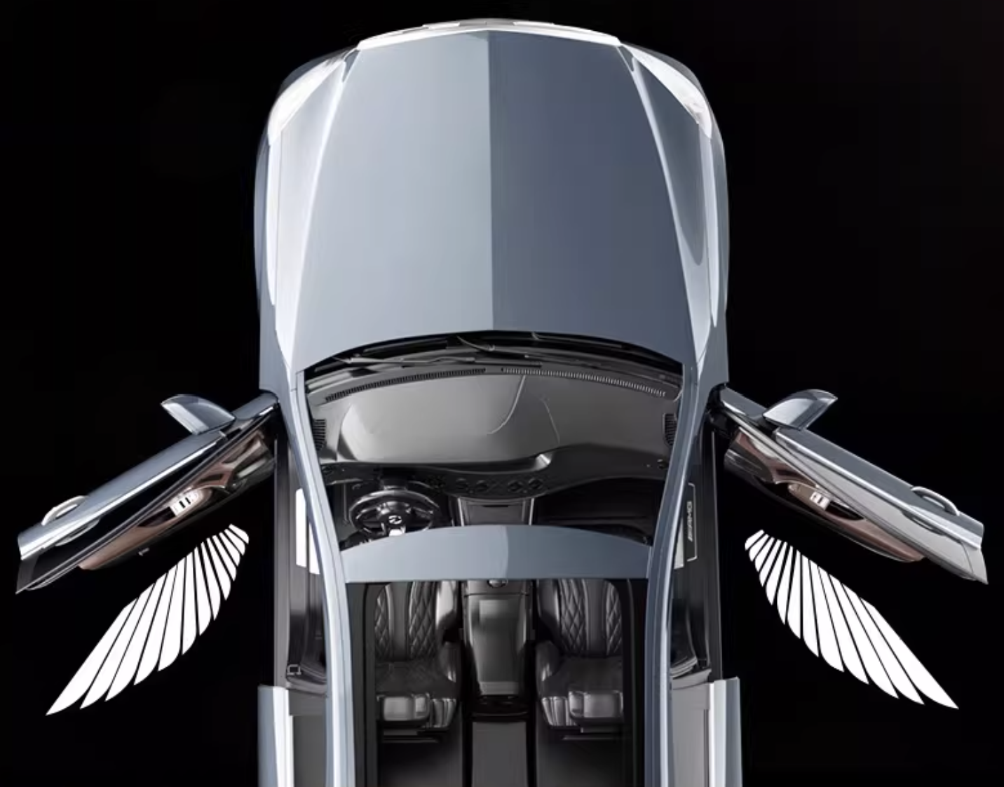 Angel Wings Car Welcome Light